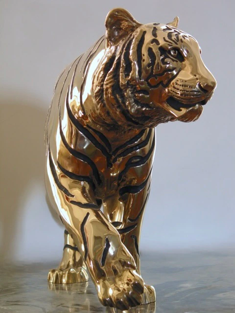 TIGRE - Thumbnail 2