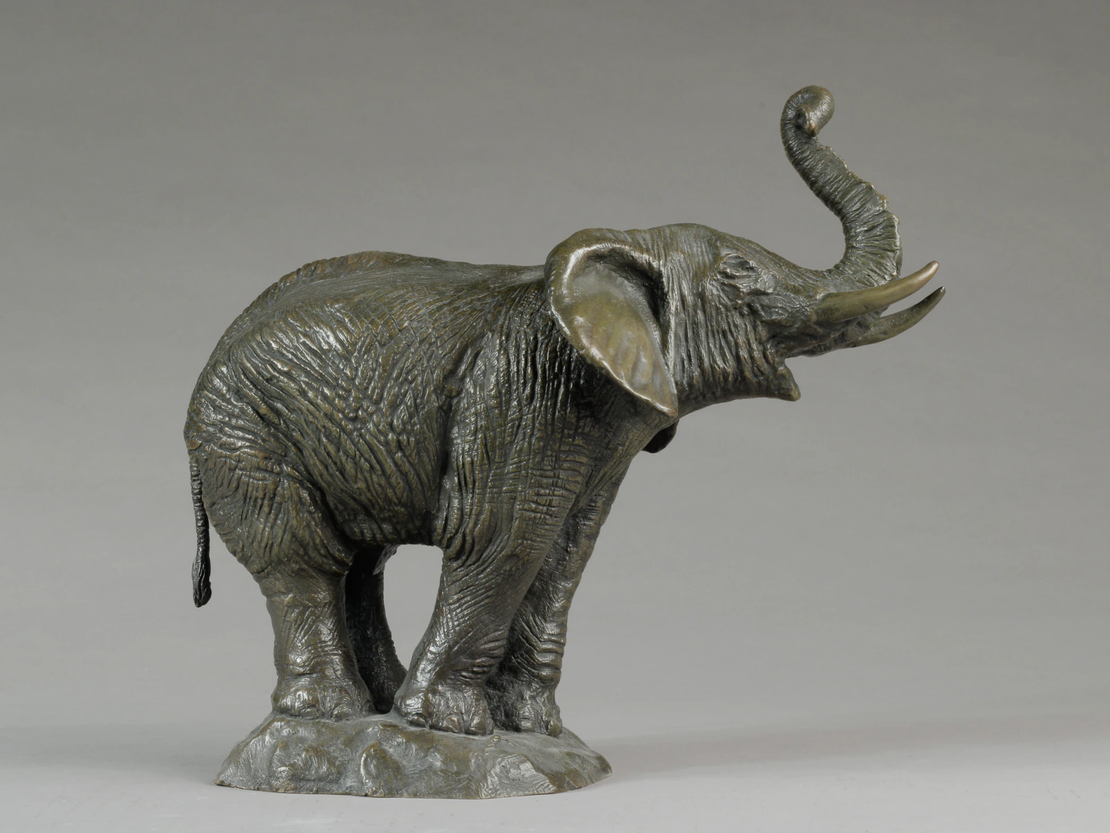Eléphant d'Afrique moyen modèle - Thumbnail 2