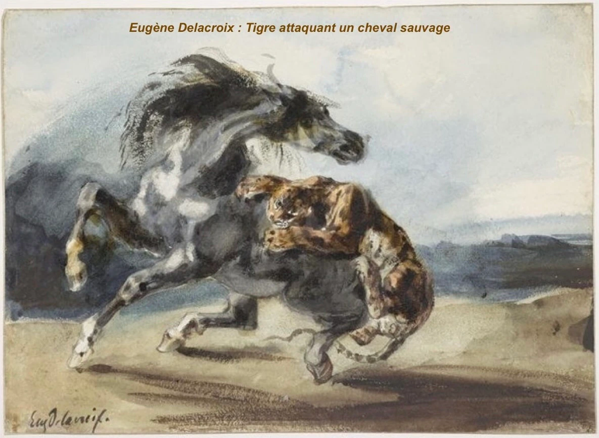 Cheval attaqué par un tigre - Thumbnail 6