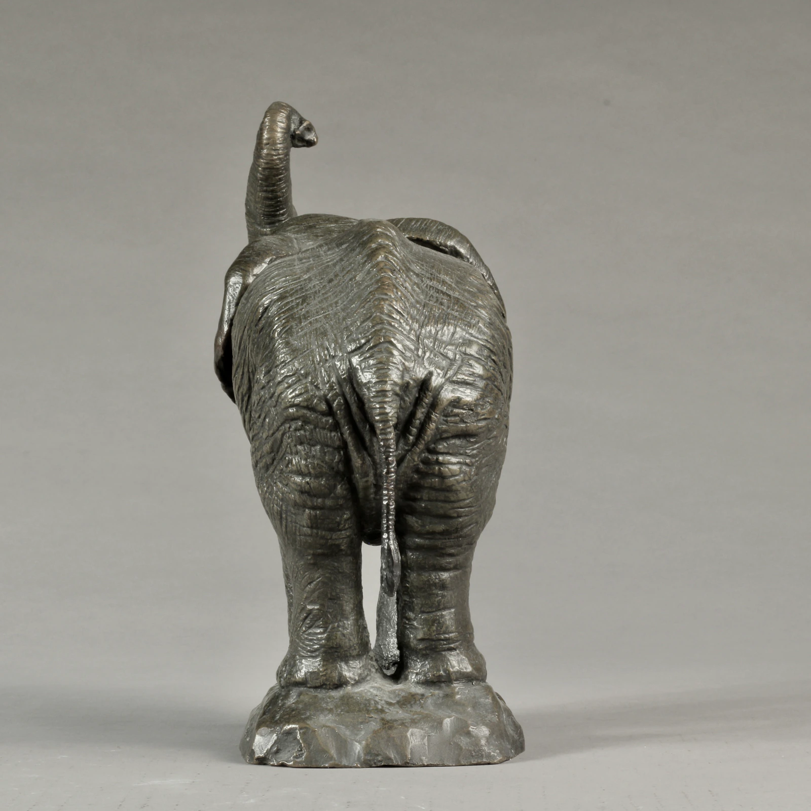 Eléphant d'Afrique moyen modèle - Thumbnail 4