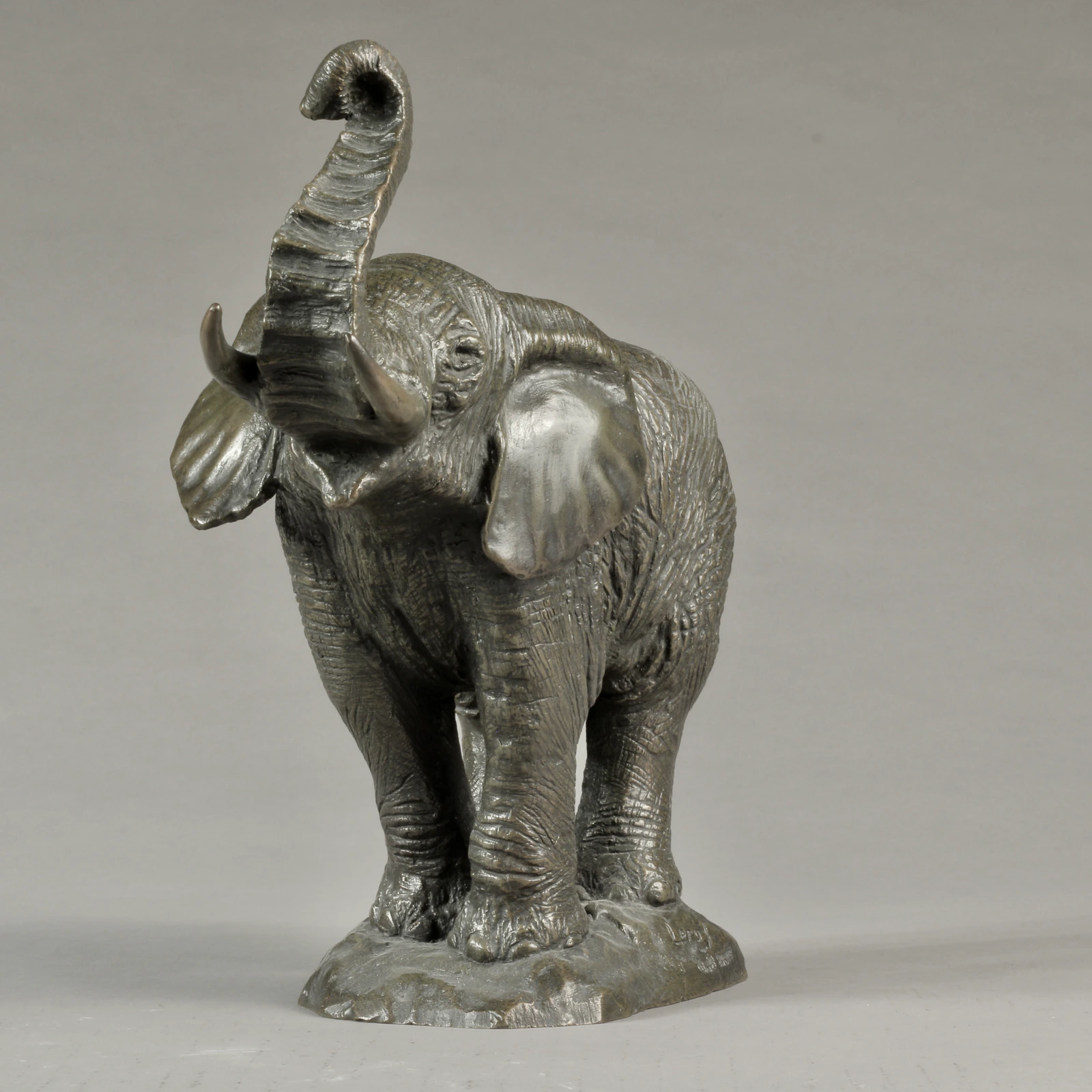 Eléphant d'Afrique moyen modèle - Thumbnail 3