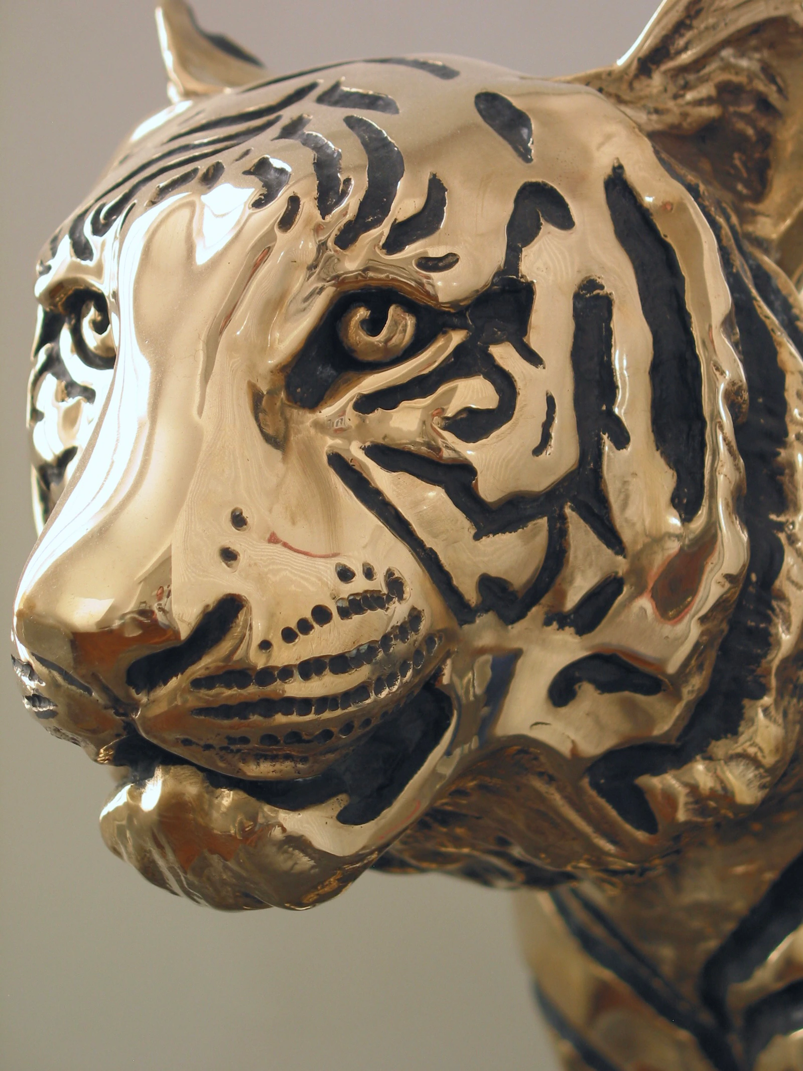 TIGRE - Thumbnail 3