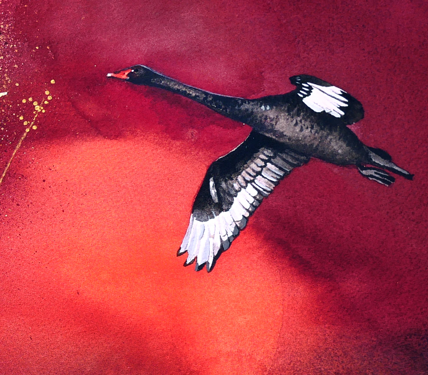 Black Swan - Thumbnail 2