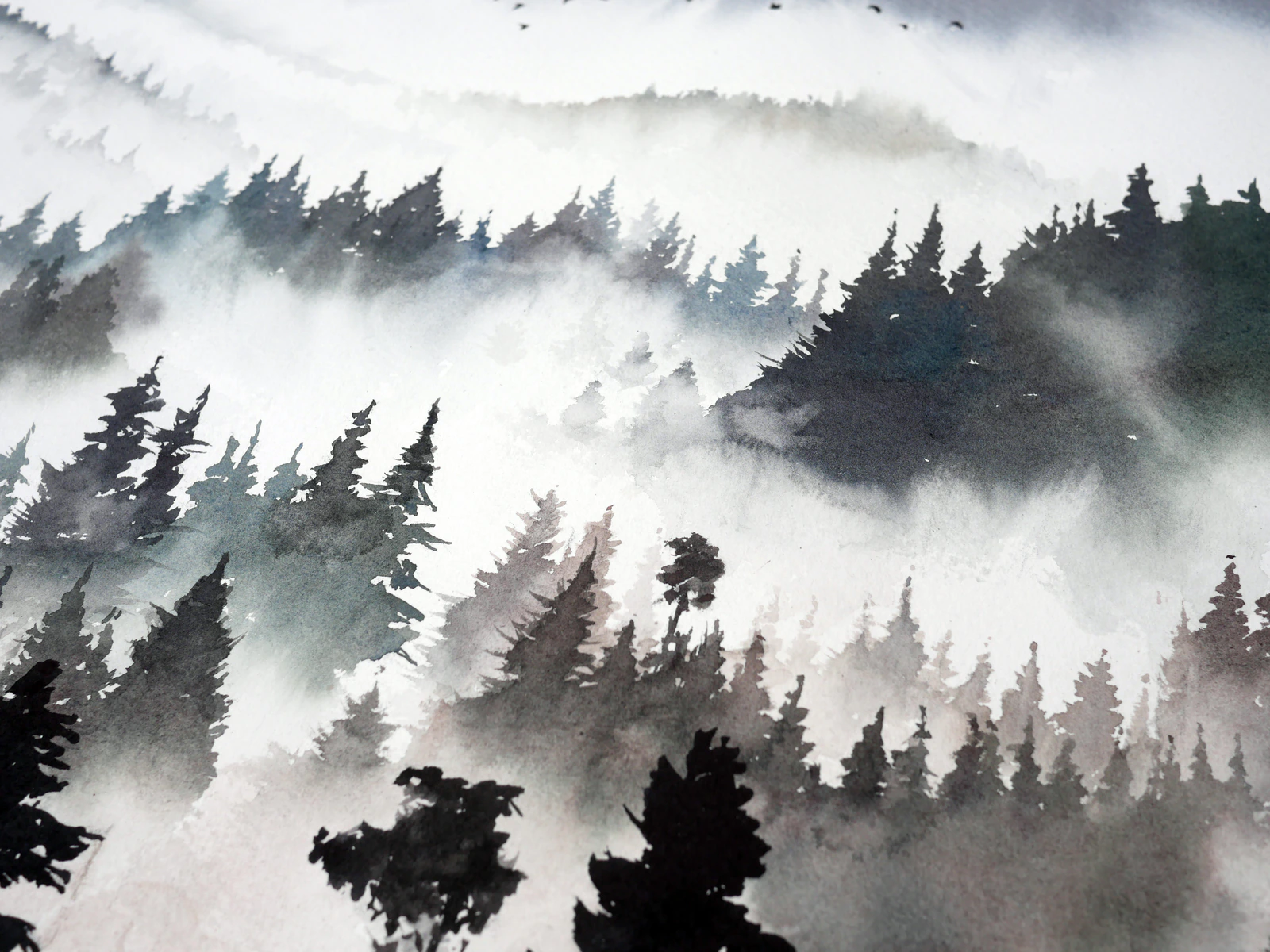 The misty forest - Thumbnail 3