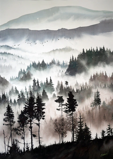 The misty forest