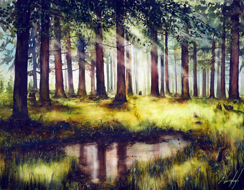 Moss kingdom