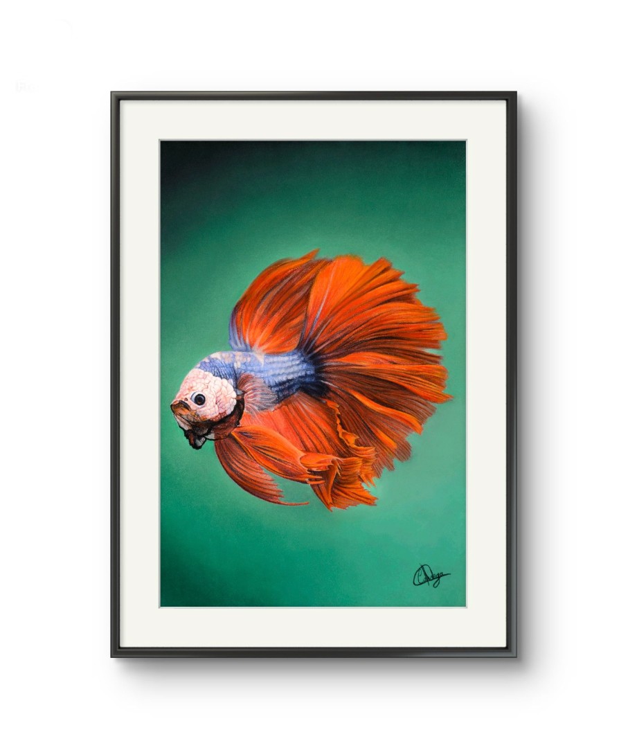 Le Betta - Thumbnail 2