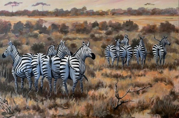 Zebra's booties