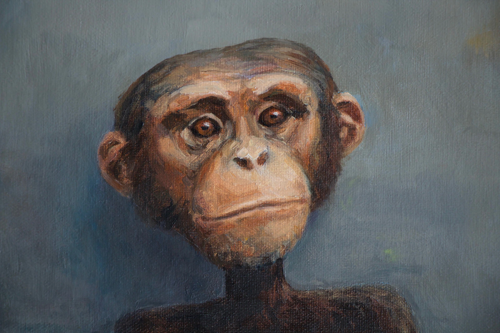 EVOLUTION - Thumbnail 5