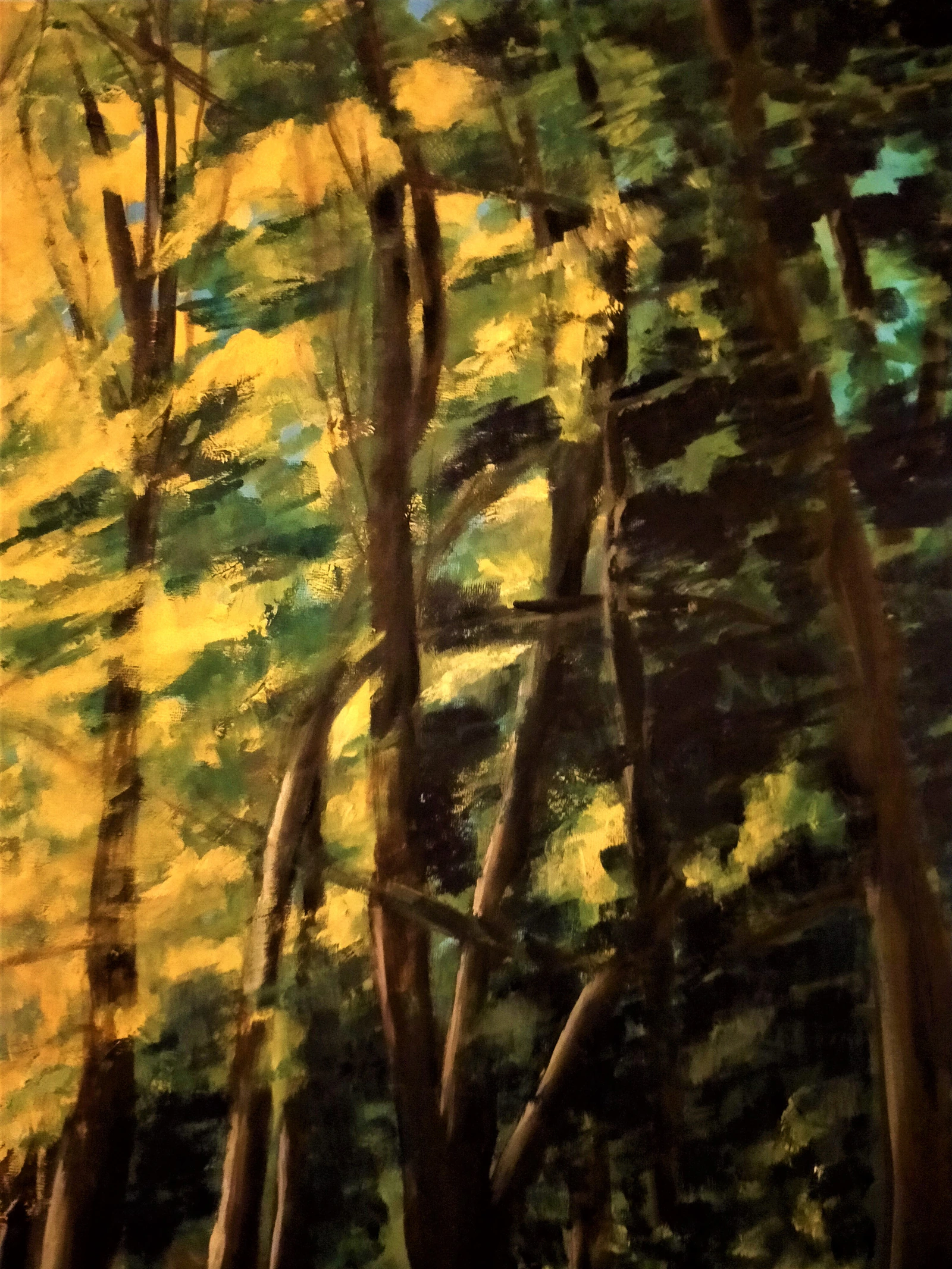 L'allée du Roi - Thumbnail 5