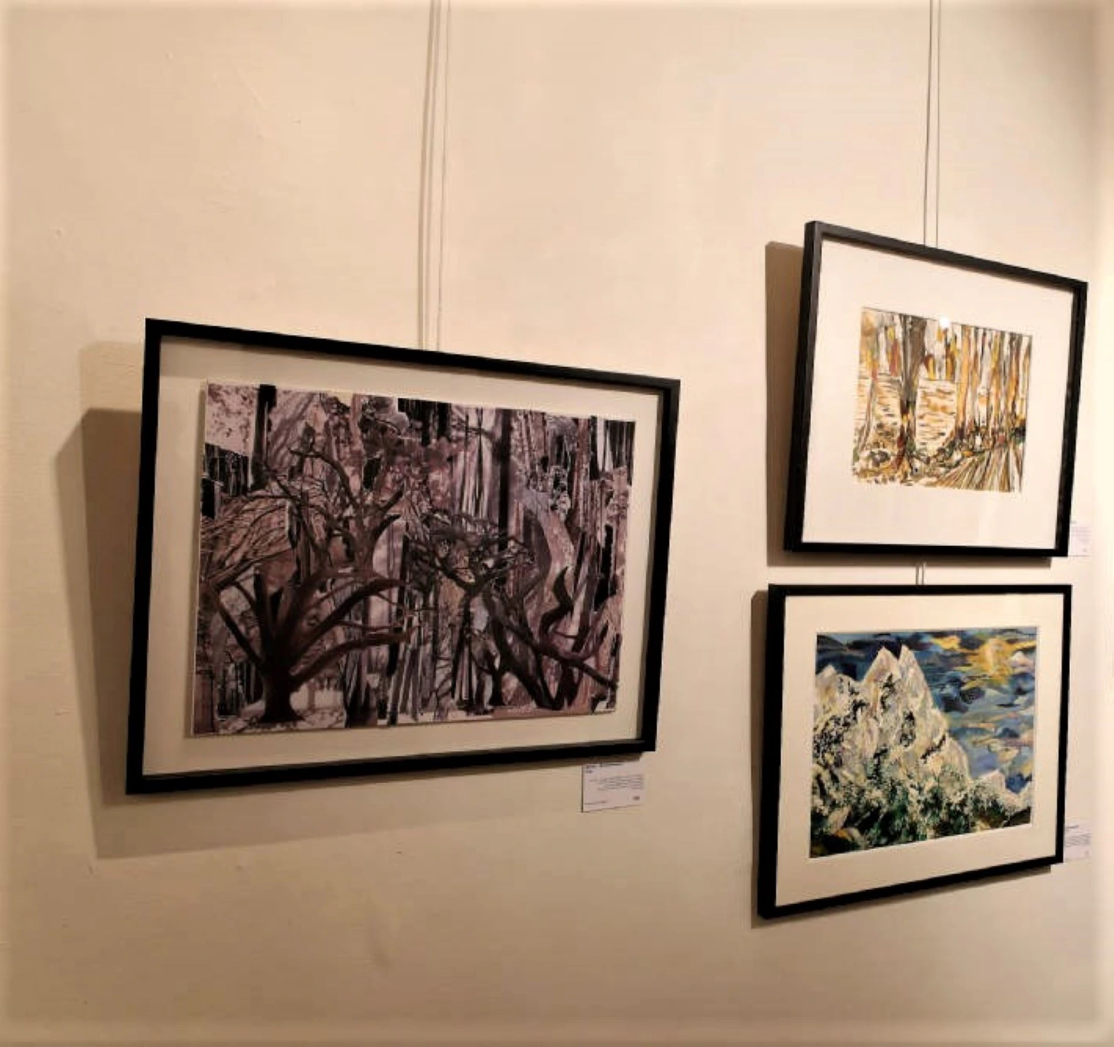 Brocéliande - Thumbnail 5