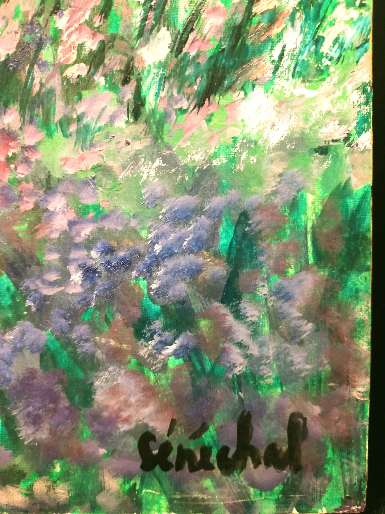 Lavandes - Thumbnail 5