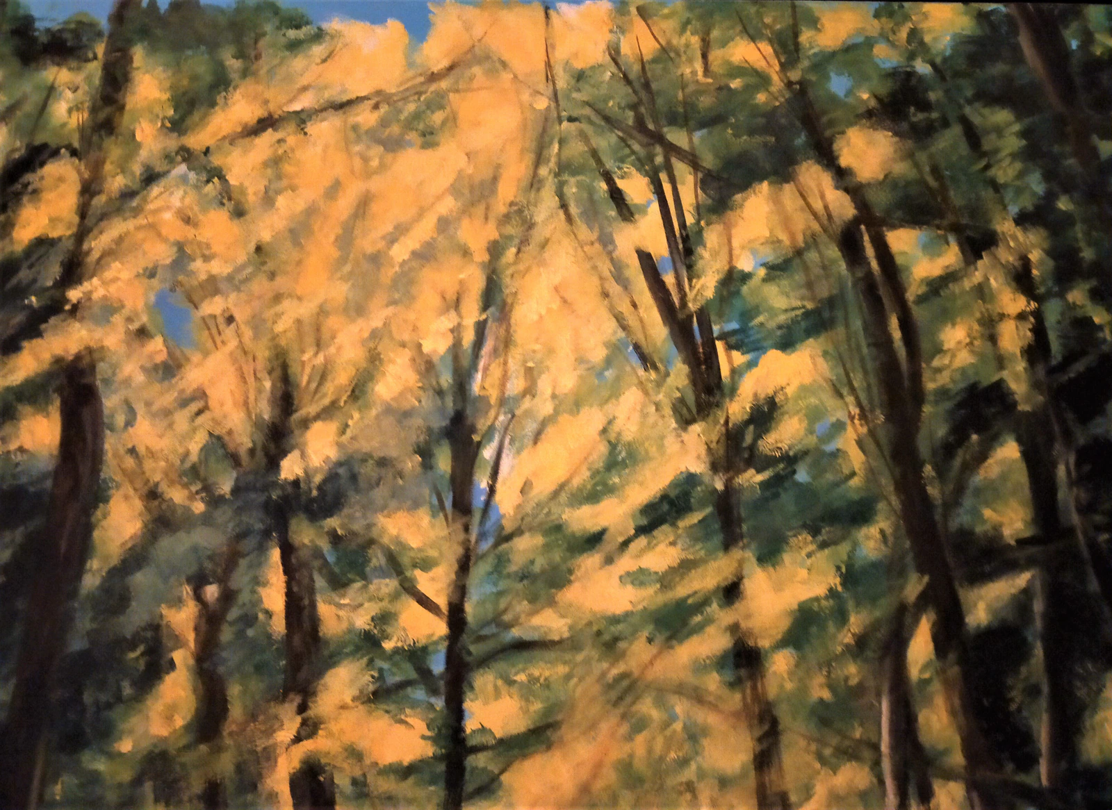 L'allée du Roi - Thumbnail 4