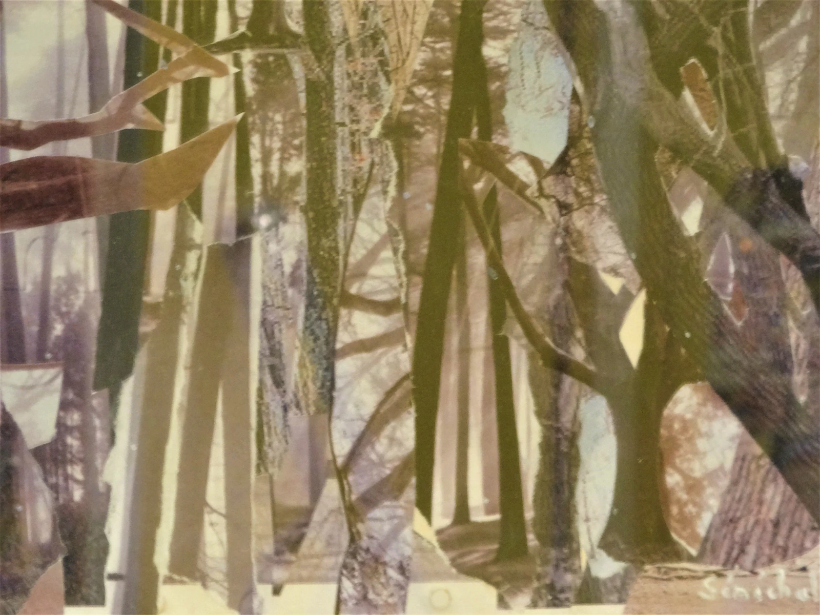 Brocéliande - Thumbnail 2