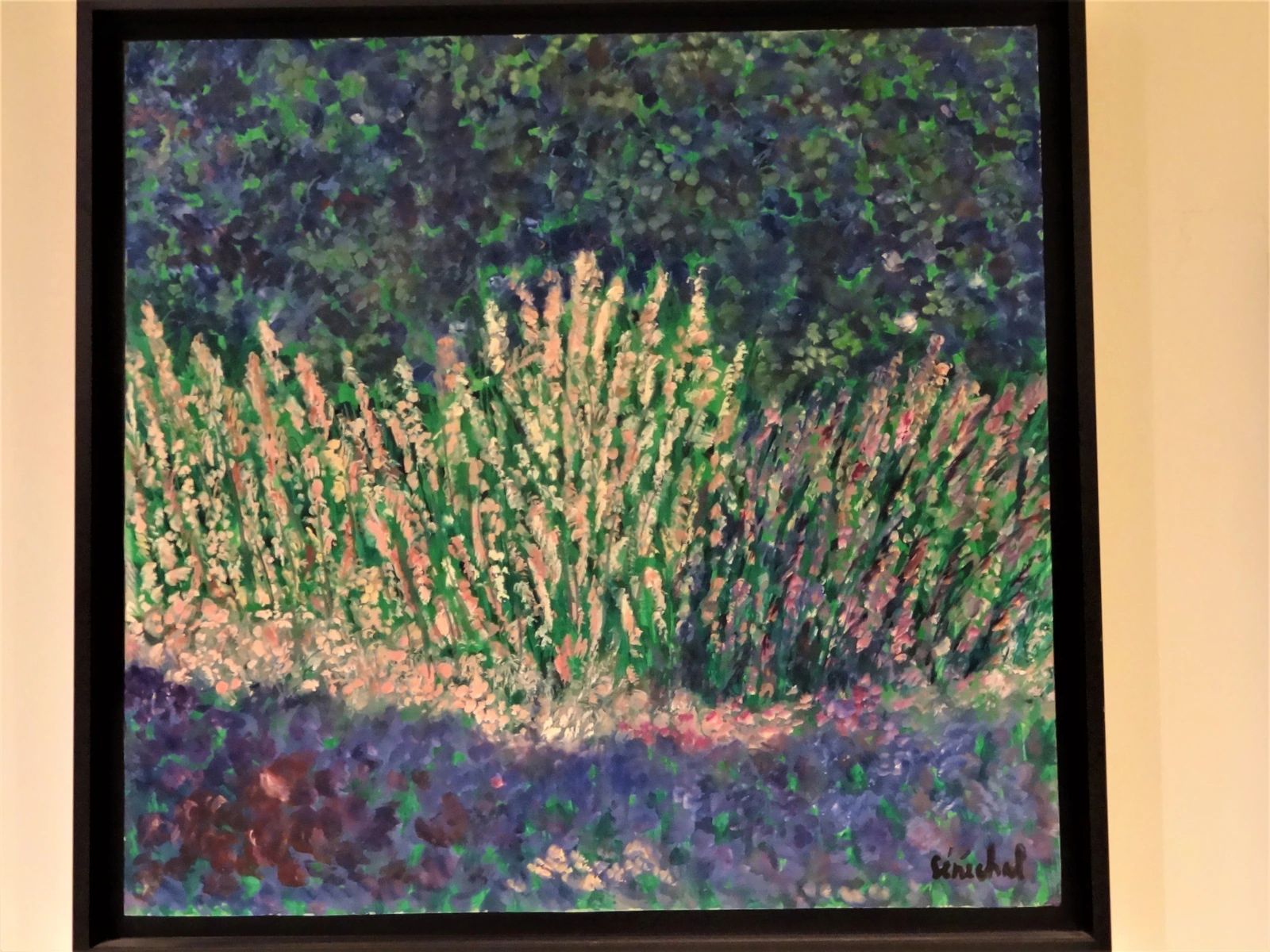 Lavandes - Thumbnail 6