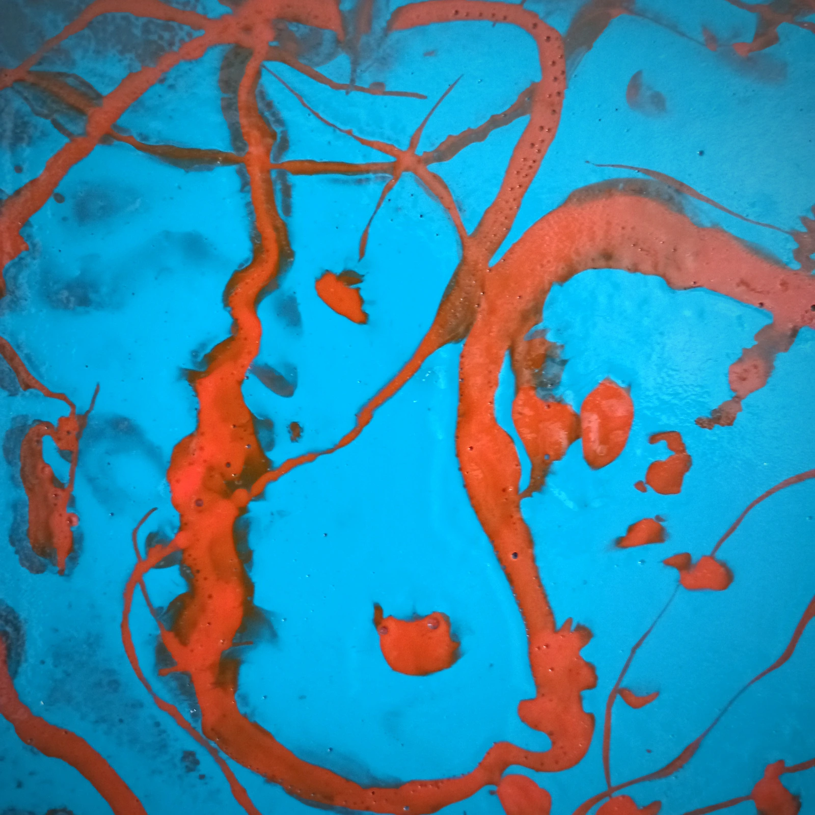 Utopia - Thumbnail 2