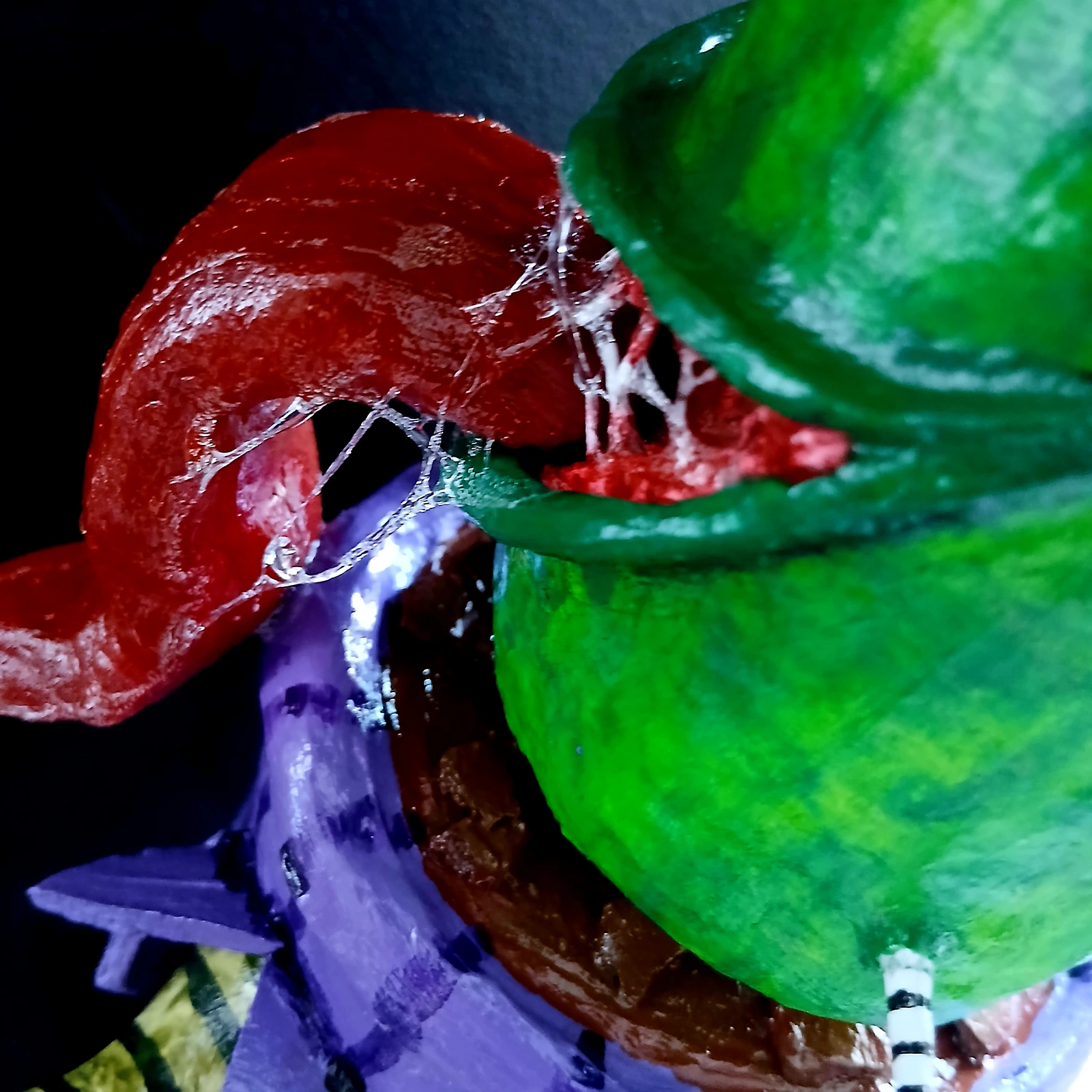 The cactus - Thumbnail 9