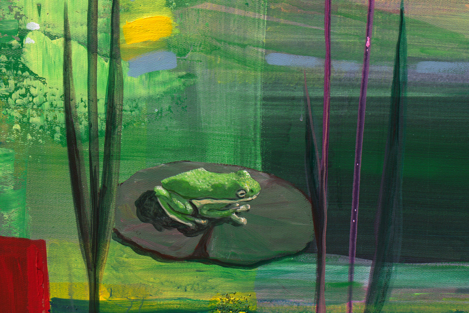 Sur le bassin c'était la fête, le carnaval, sauf pour l'amphibien. - Thumbnail 2