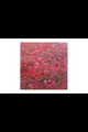 Remissio Sui - Thumbnail 2