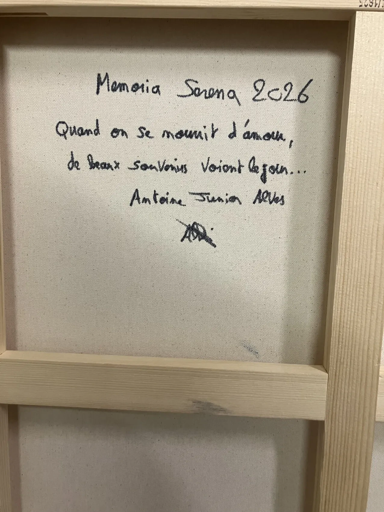 Memoria Serena - Thumbnail 3