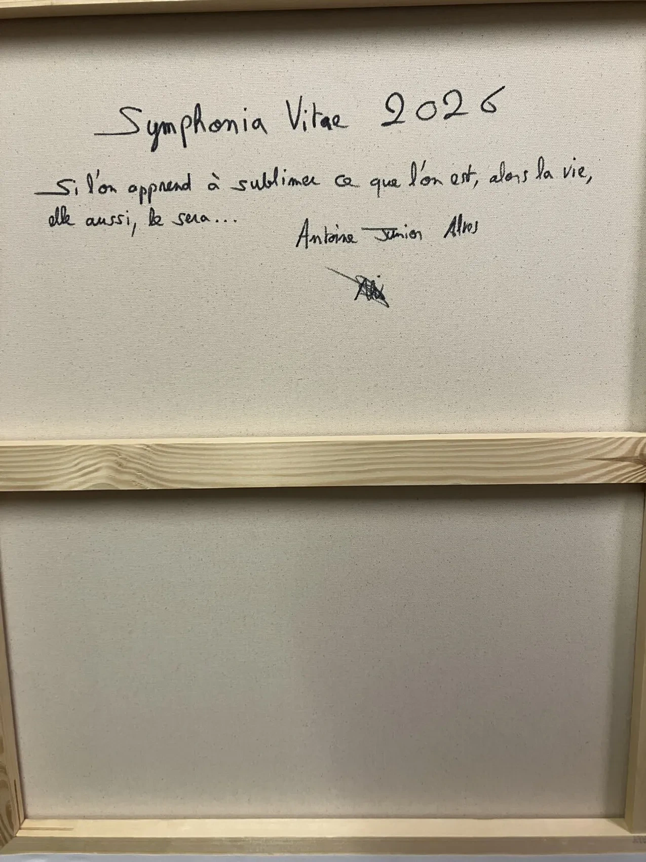 Symphonia Vitae - Thumbnail 6