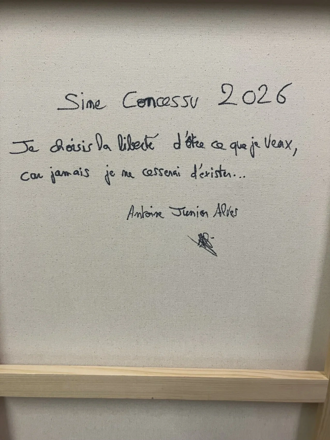 Sine Concessu - Thumbnail 5