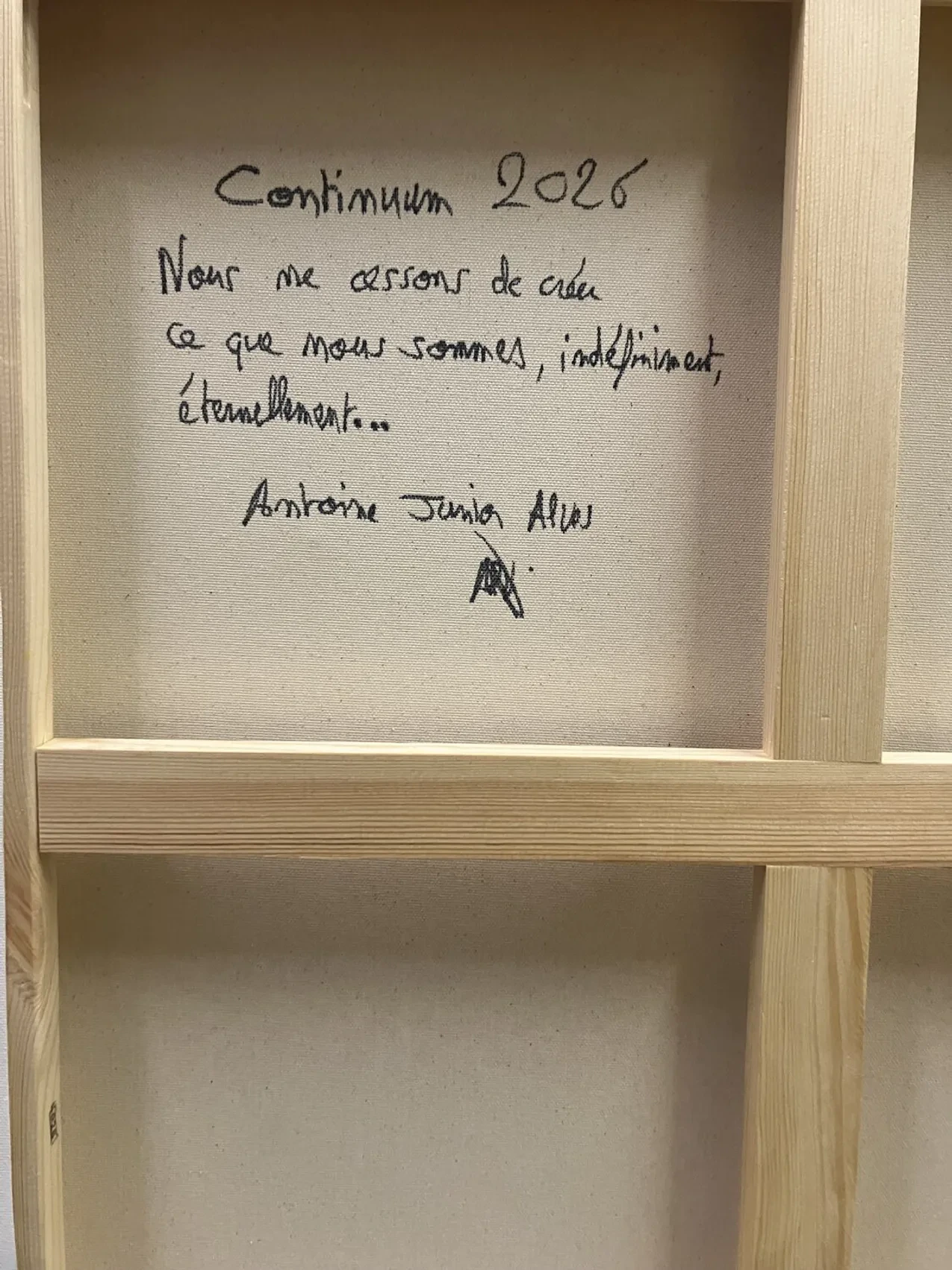 Continuum - Thumbnail 4