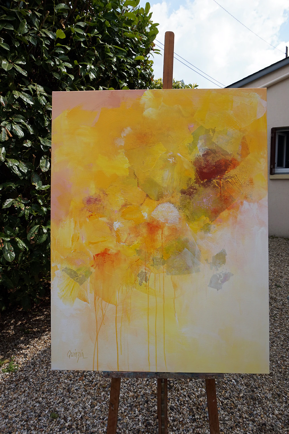 Fleurs jaune d'or - Thumbnail 6