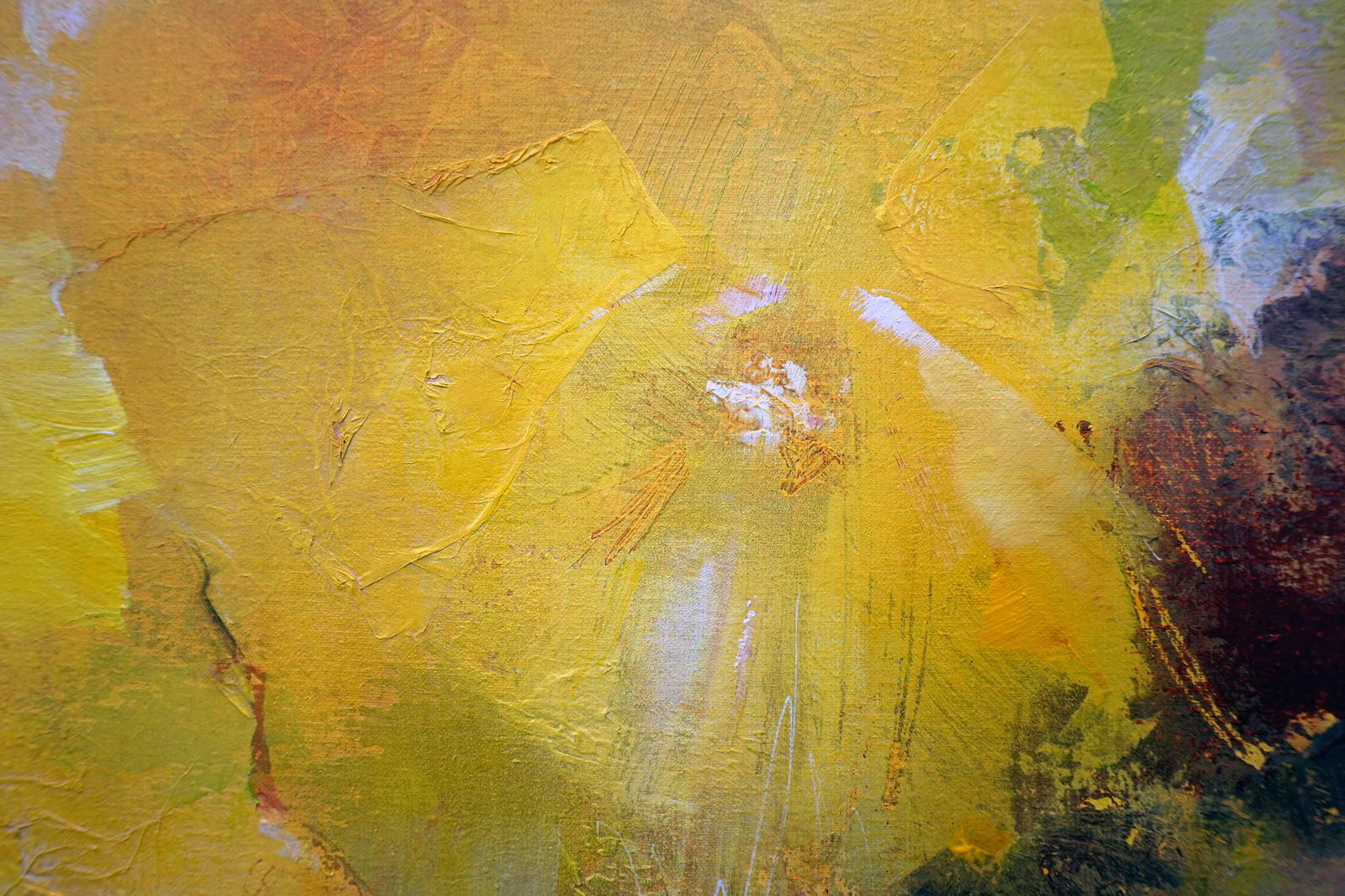 Fleurs jaune d'or - Thumbnail 5