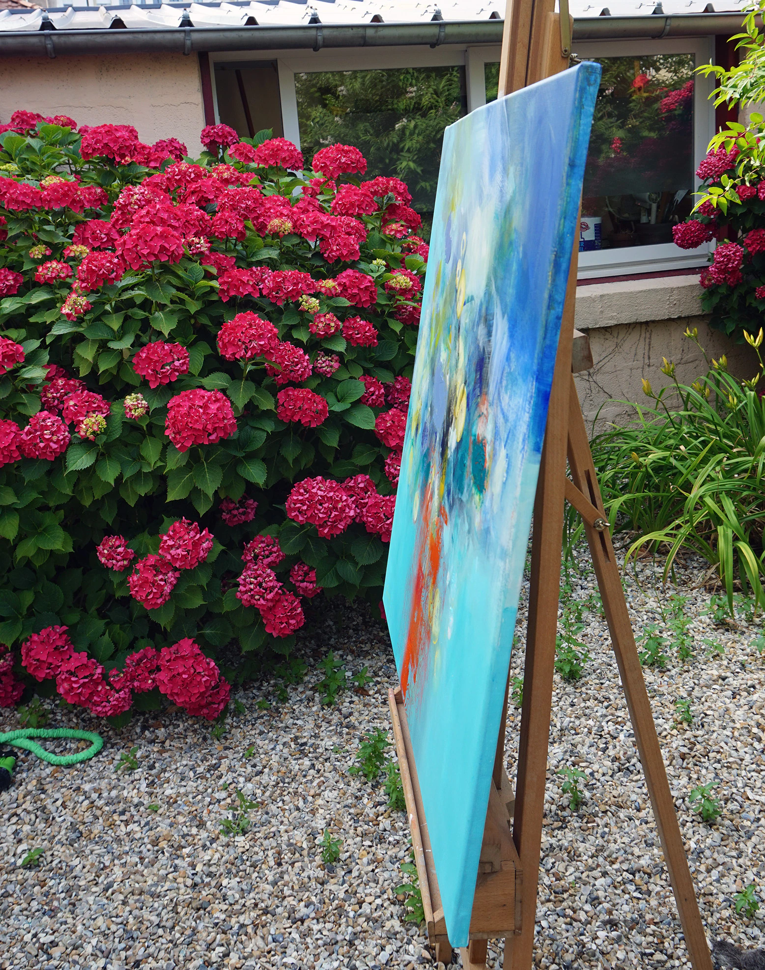 Blue and yellow flowers in orange pot - Thumbnail 6