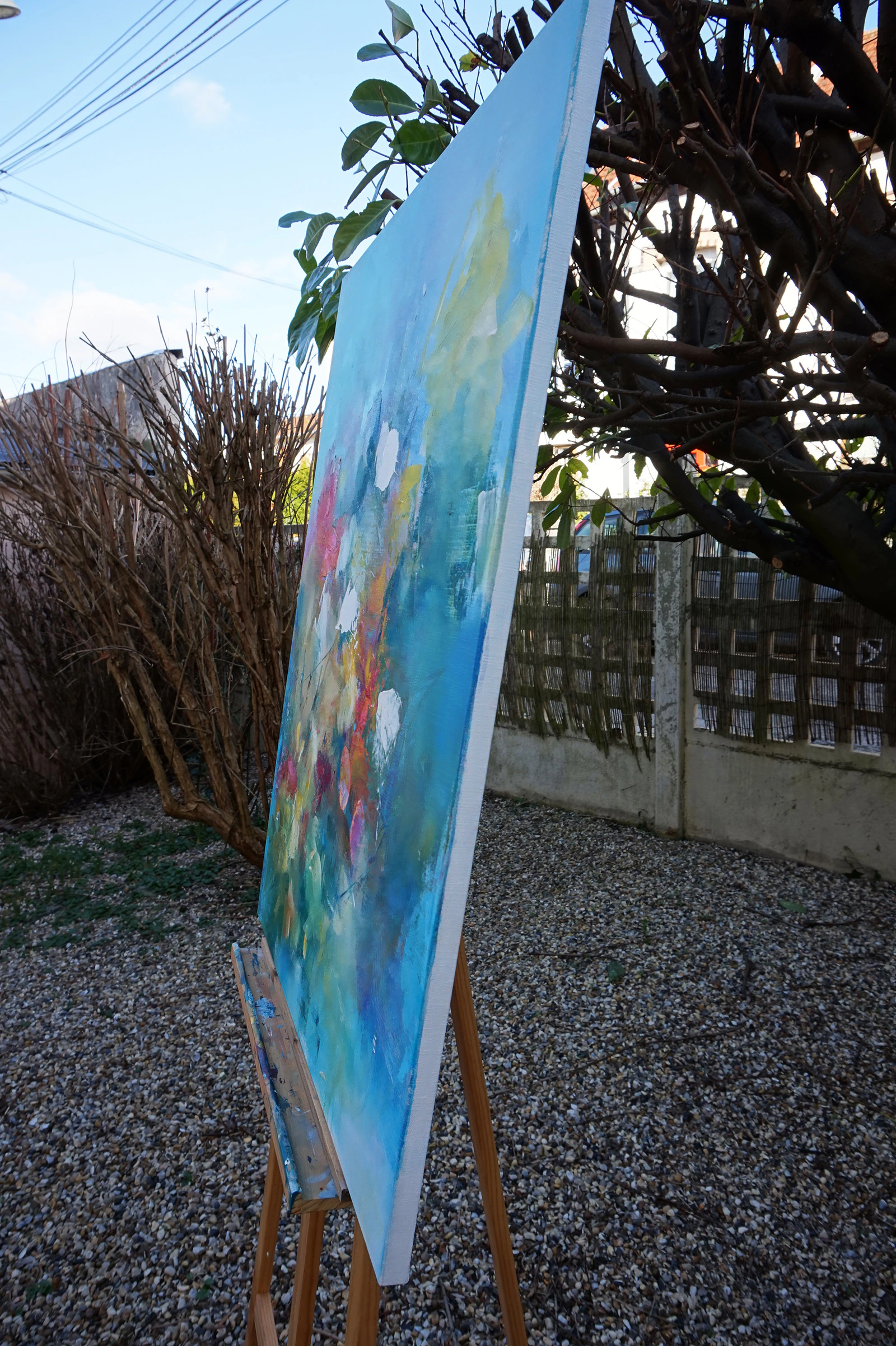 Butterfly season - Thumbnail 7