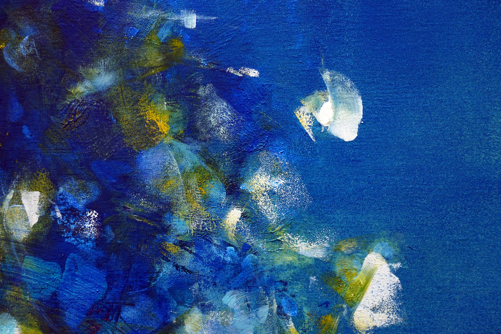 Jardin aquatique 4 - Thumbnail 3