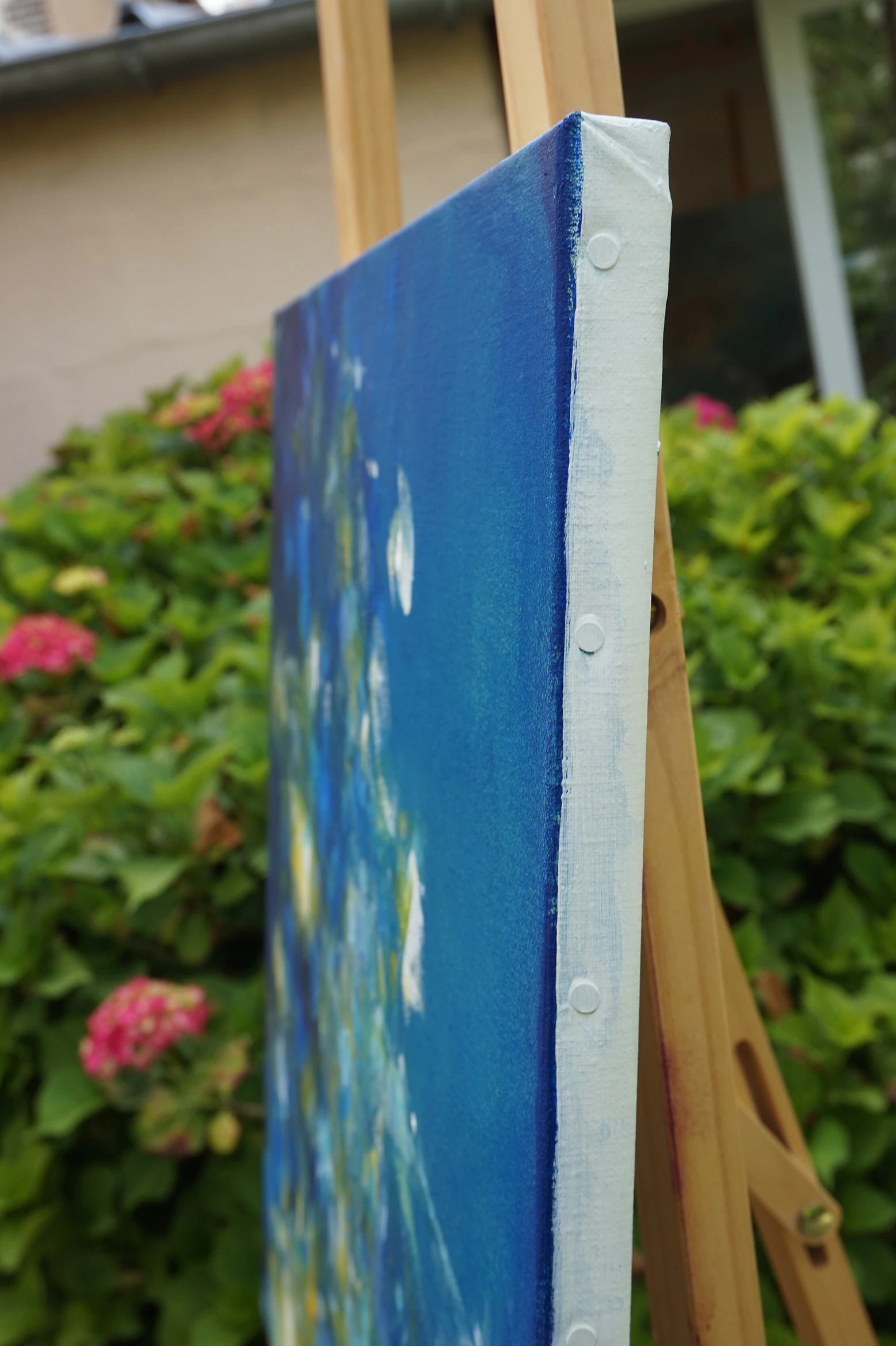 Jardin aquatique 4 - Thumbnail 6