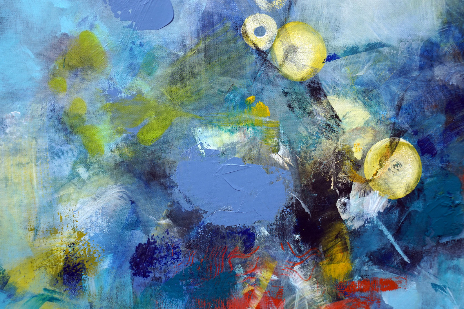 Blue and yellow flowers in orange pot - Thumbnail 4