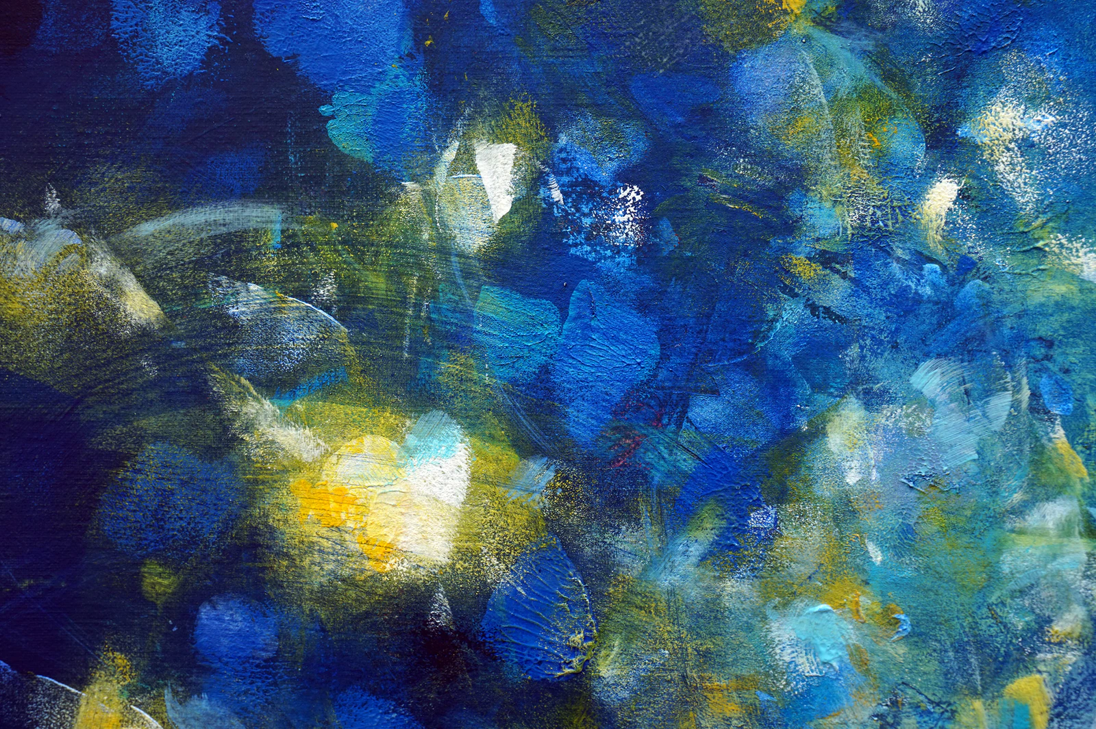 Jardin aquatique 4 - Thumbnail 2