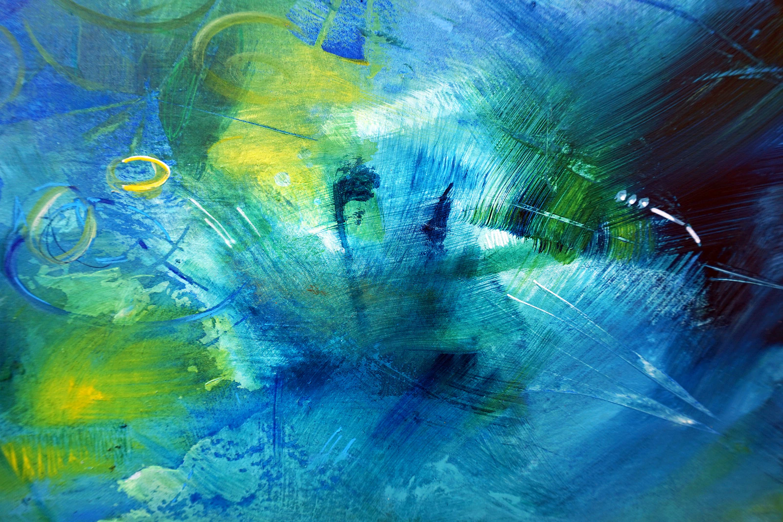Jardin aquatique - Thumbnail 3