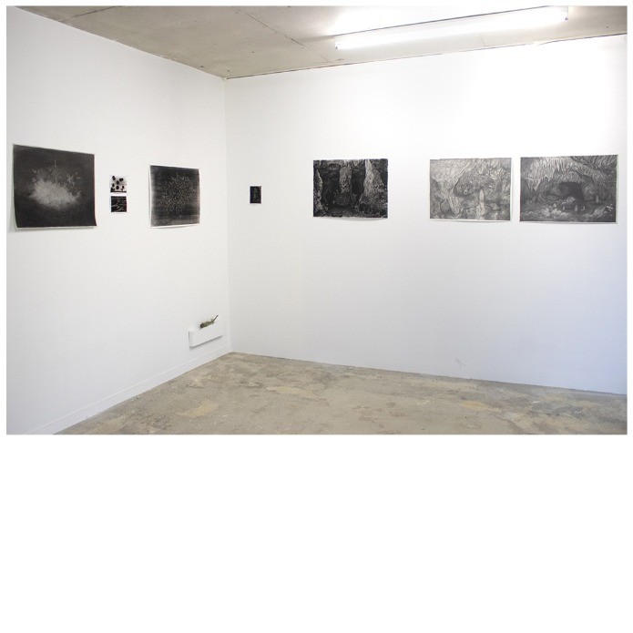 Floraison à la grotte de Cougnac - Thumbnail 3