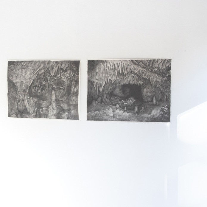 Floraison à la grotte de Cougnac - Thumbnail 4