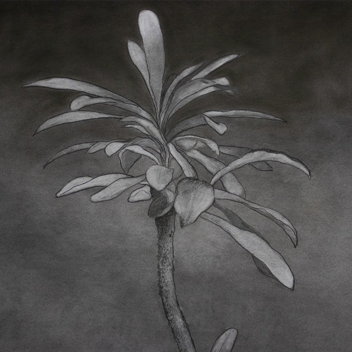 Fractale à la carrière - Thumbnail 2