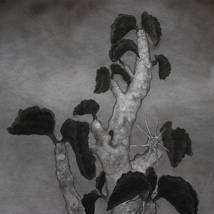 Fractale à la carrière (2) - Thumbnail 2