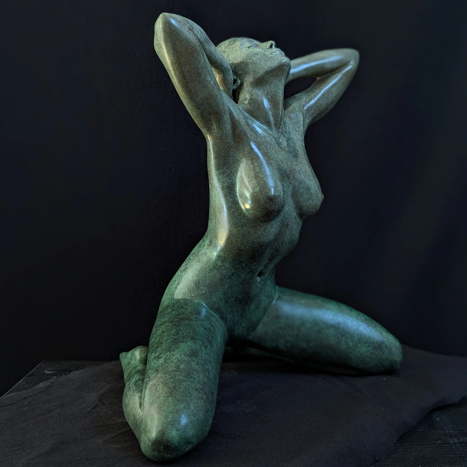 PLENITUDE - Thumbnail 2