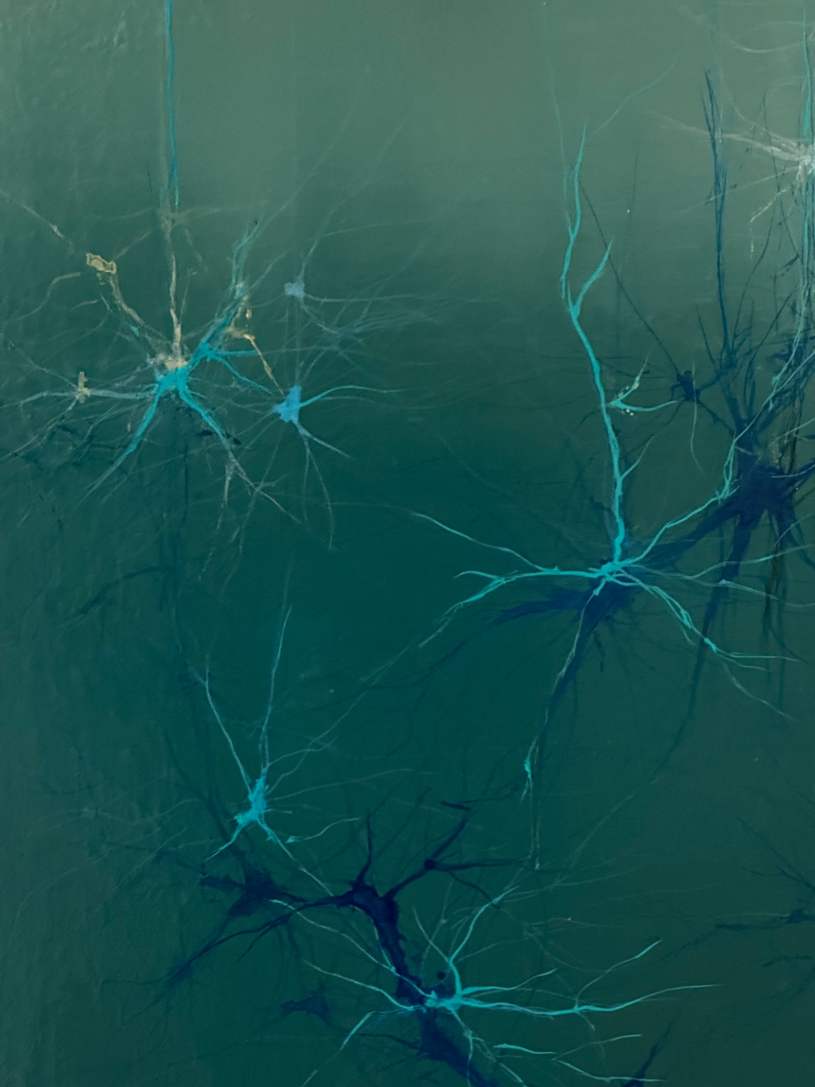 Fragments - Thumbnail 2