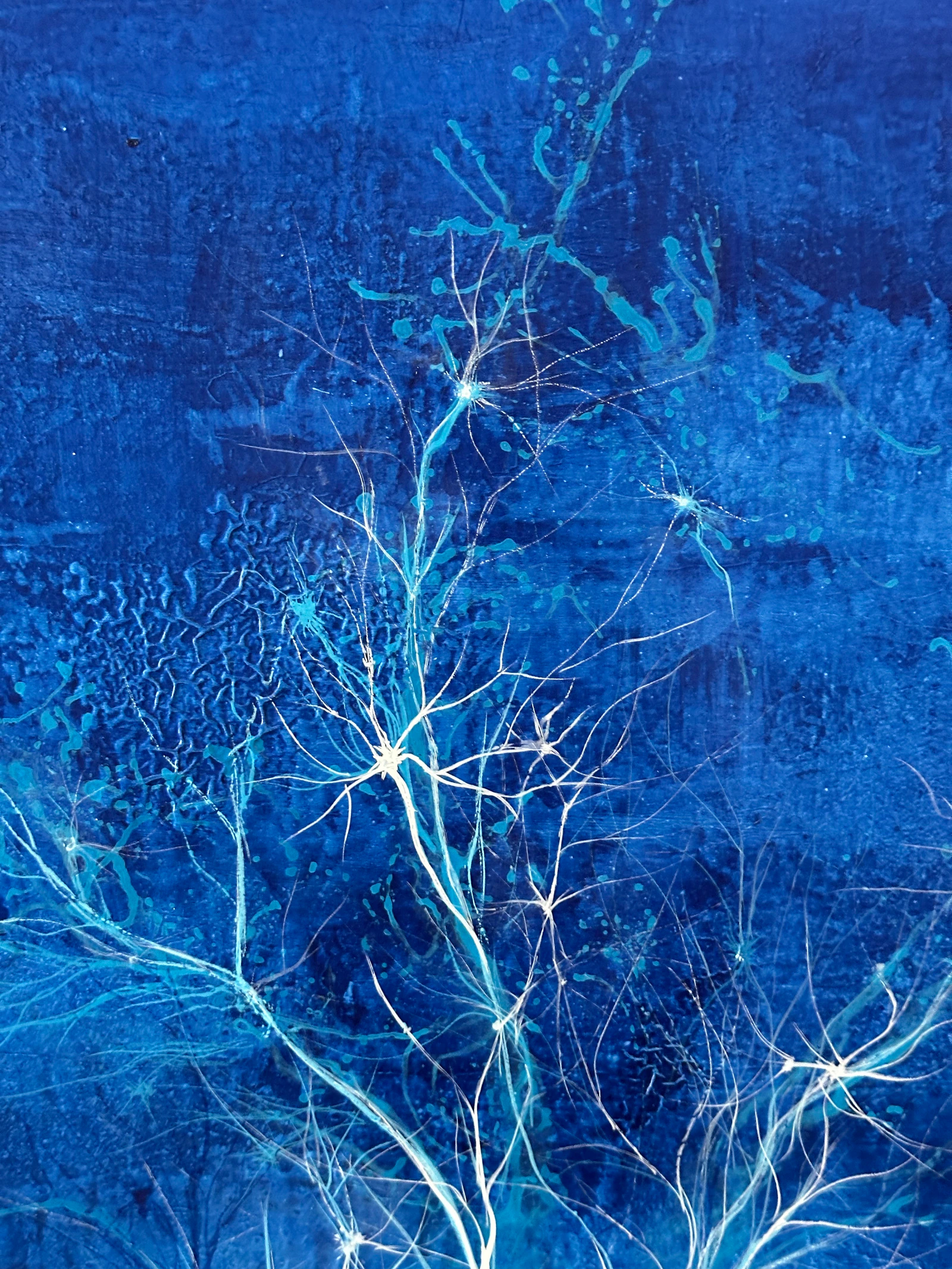 Eclosion intérieure - Thumbnail 2