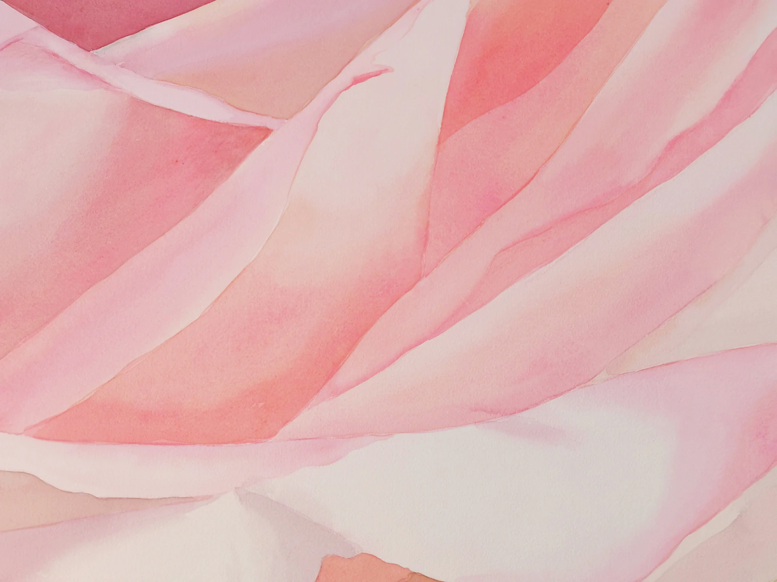 ROSE 2 - Thumbnail 2