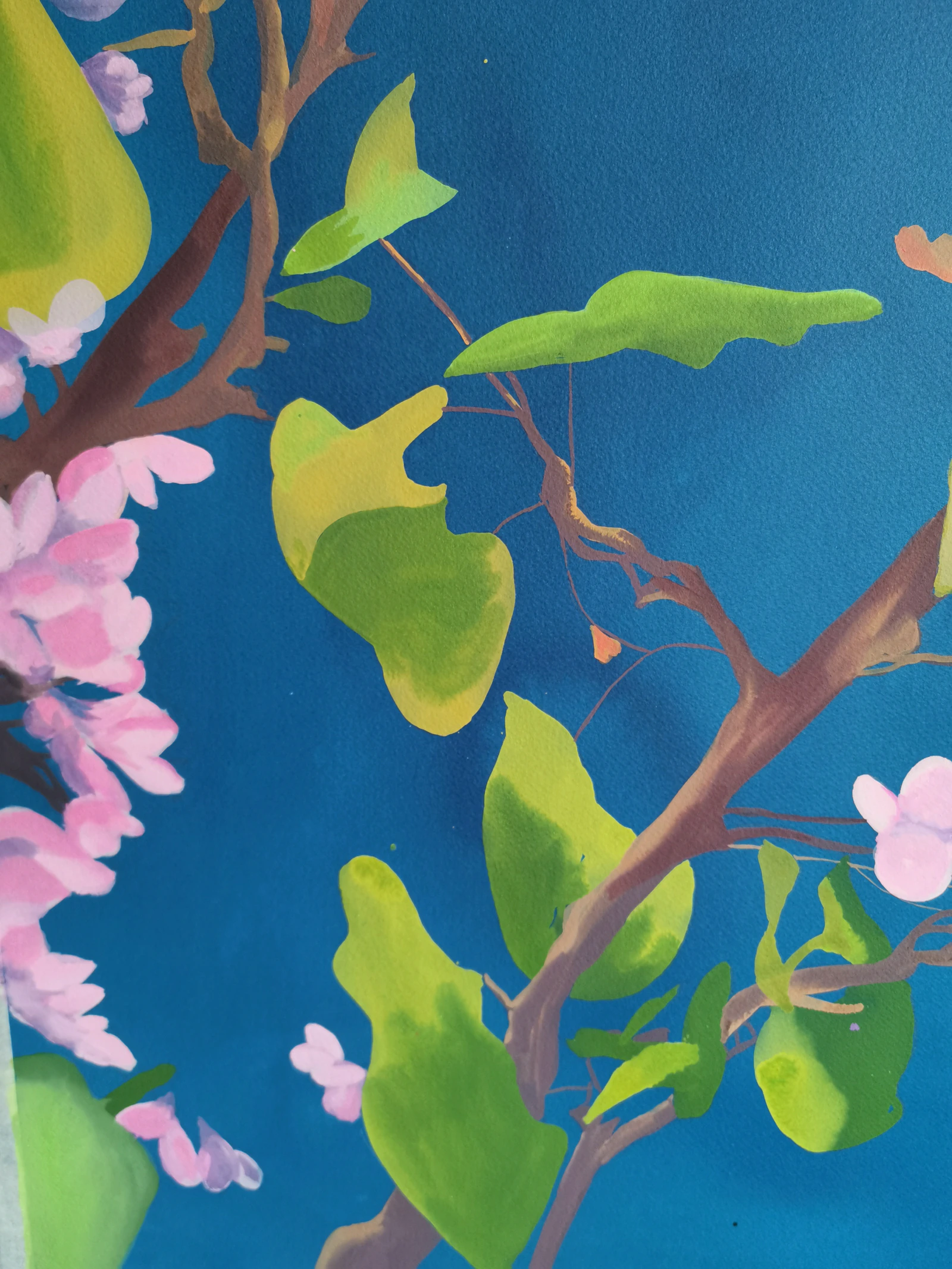 Arbre de Judée 2 - Thumbnail 4