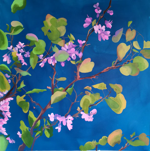 Arbre de Judée 2