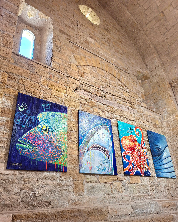 Meeting with the Blue Whale - Thumbnail 4