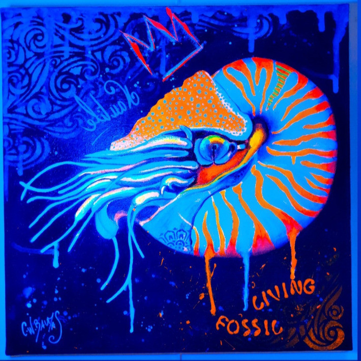 Nautile - Thumbnail 2