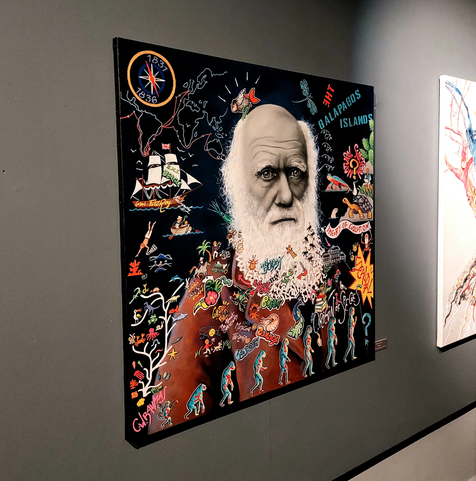Darwin - Thumbnail 2