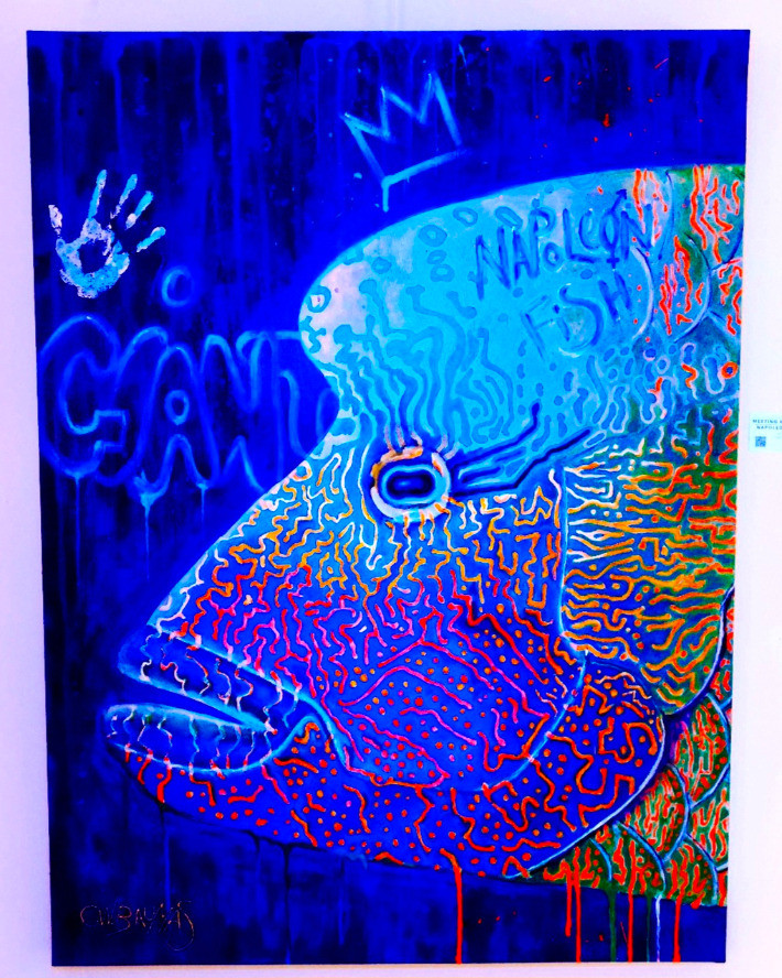 Meeting with the napoleon fish - Thumbnail 3